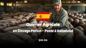 Ouvrier Agricole en Élevage Porcin – Poste Urgent à Valladolid (Hébergement Possible)