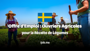 Offre d'Emploi : Ouvriers Agricoles pour la Récolte de Légumes dans une Ferme Dynamique