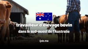 Offre d'Emploi : Travailleur d'Élevage Bovin à Karridale/Margaret River