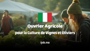 Ouvrier Agricole – Poste à Morro d’Alba (AN) pour la Culture de Vignes et Oliviers